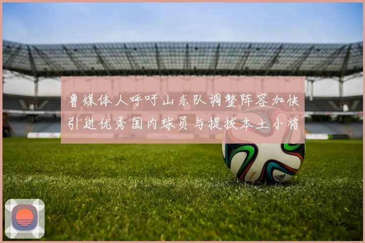 鲁媒体人呼吁山东队调整阵容加快引进优秀国内球员与提拔本土小将