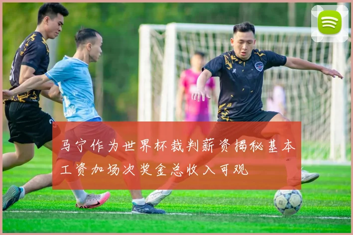 马宁作为世界杯裁判薪资揭秘基本工资加场次奖金总收入可观